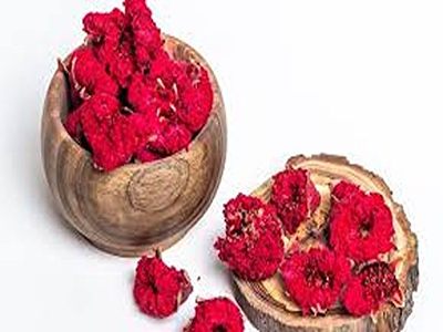 تصویر 3 از خرید و قیمت گیاه گلنار پارسی + فروش عمده